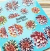 Dreamnails слайдер-дизайн 3D-231 (объемные)1